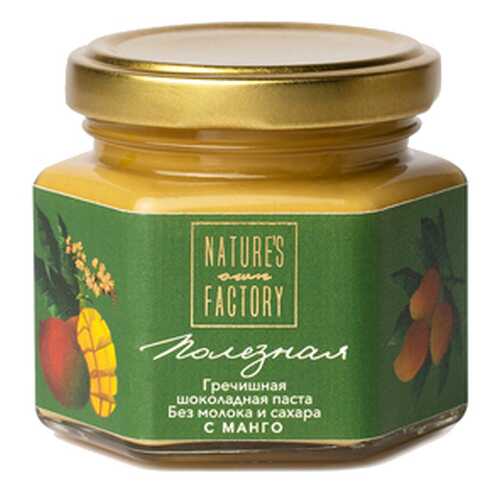 Паста гречишная шоколадная с манго Nature's own Factory 120 г в Магнолия