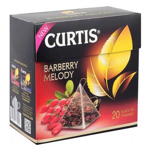 Чай черный Curtis barberry melody 20 пирамидок в Магнолия