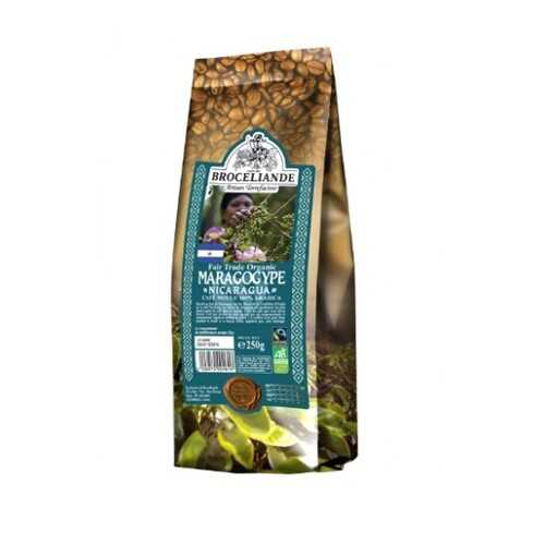 Кофе молотый Broceliande maragogype Nicaragua броселианд марагоджип Никарагуа 250 г в Магнолия