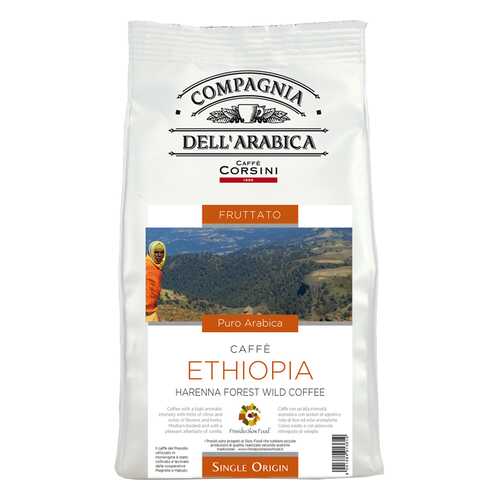 Кофе в зернах Compagnia Dell'Arabica Ethiopia Harenna Forest Wild 500г в Магнолия