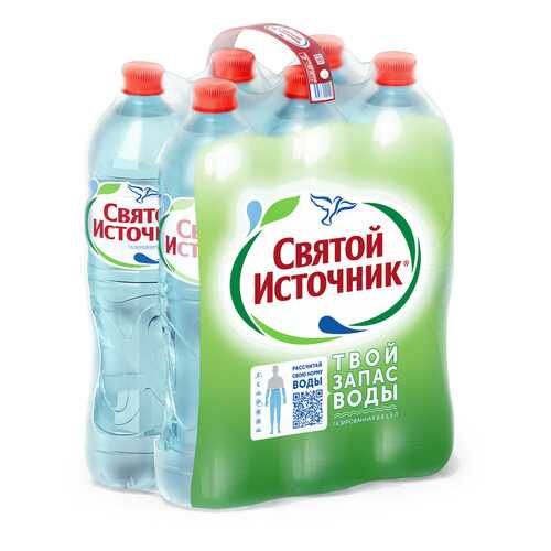 Вода питьевая Святой Источник газированная 1.5 л 6 штук в упаковке в Магнолия