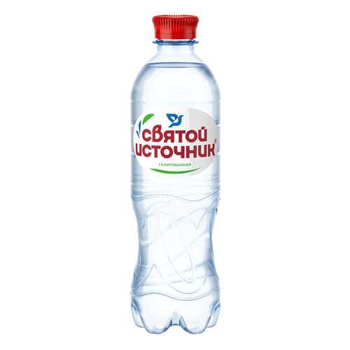 Вода СВЯТОЙ ИСТОЧНИК газ пэт 0,5л*12 шт в Магнолия